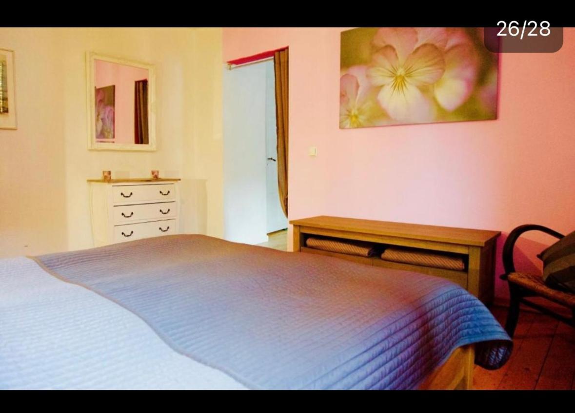 Moselblick Mit Kamin Apartment *